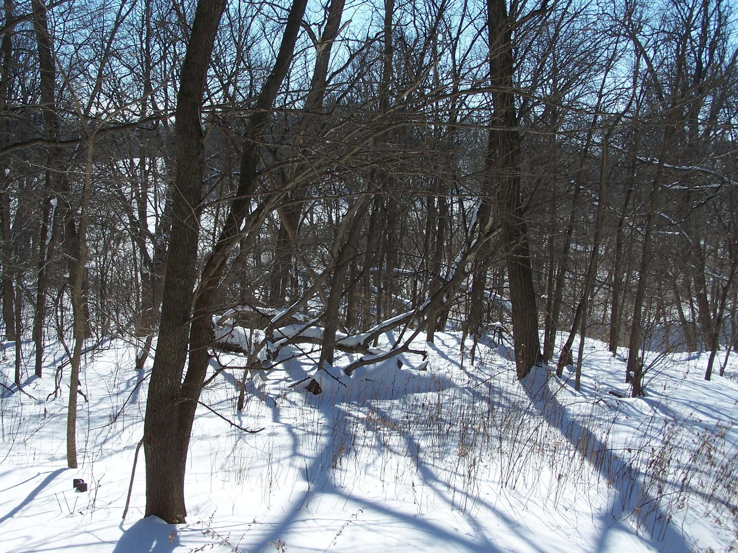 Ghost Hunter Noah Voss approaching Cry Baby Bridge 