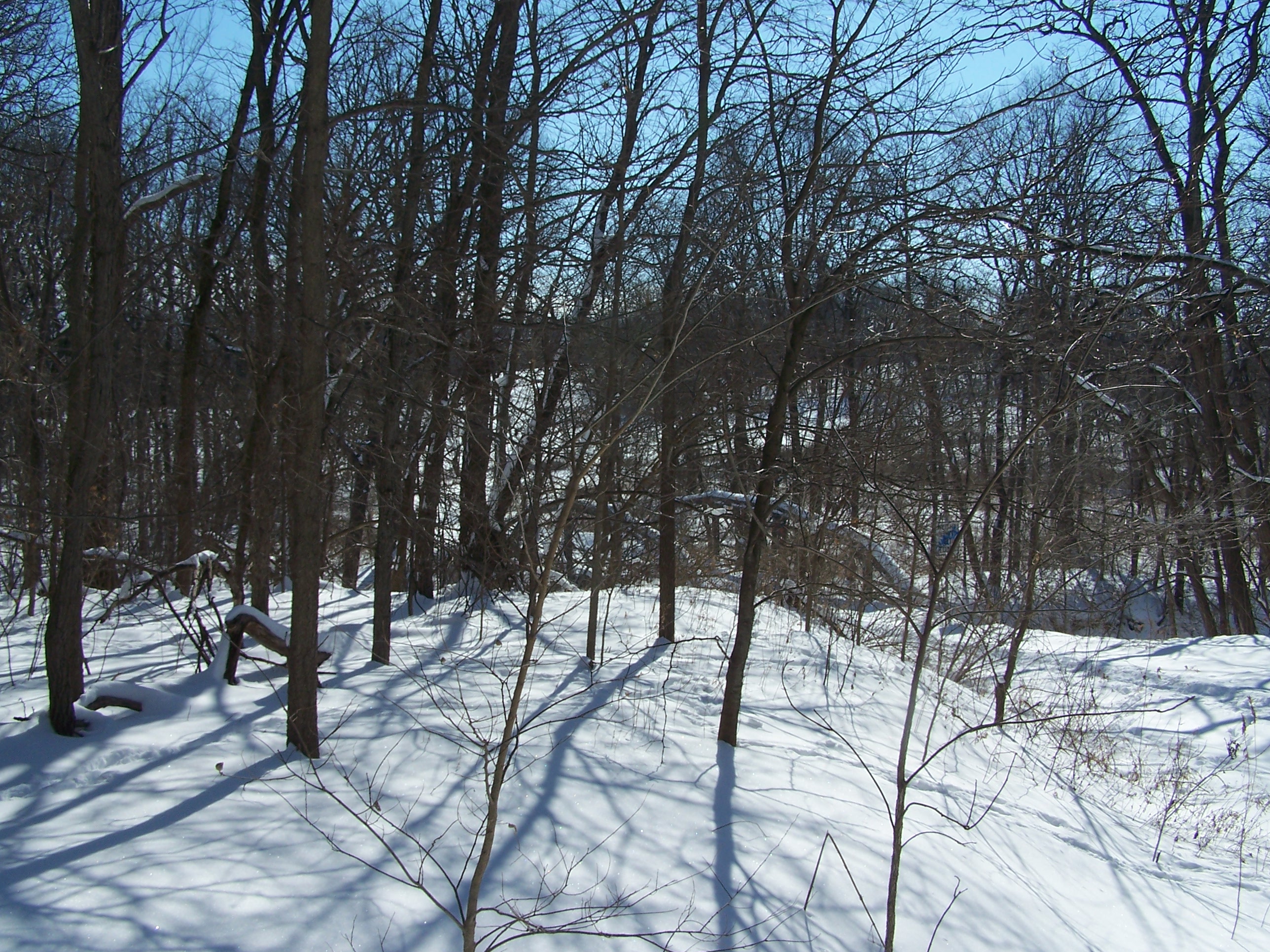 Noah Voss investigating haunted cry baby bridge